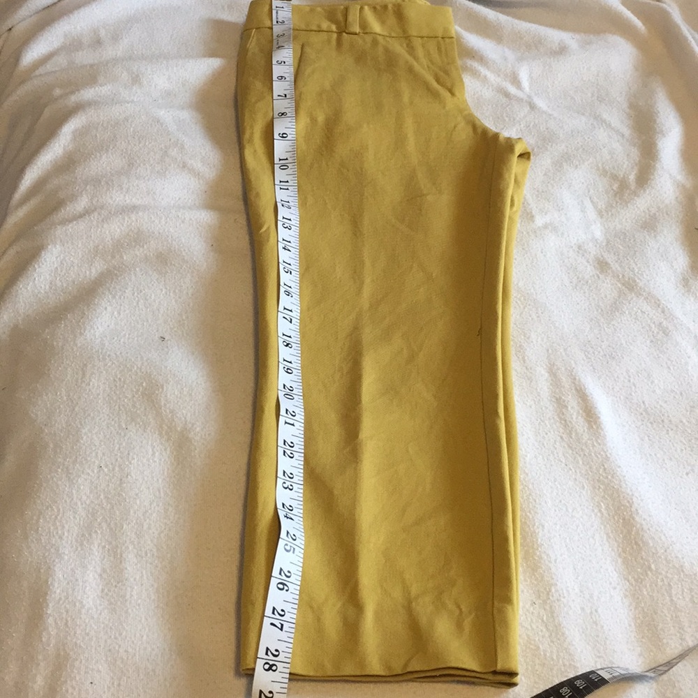 Loft Capris - image 5